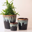 Grey Ceramic Flower Pots | Set of 3 - The Golden Theory