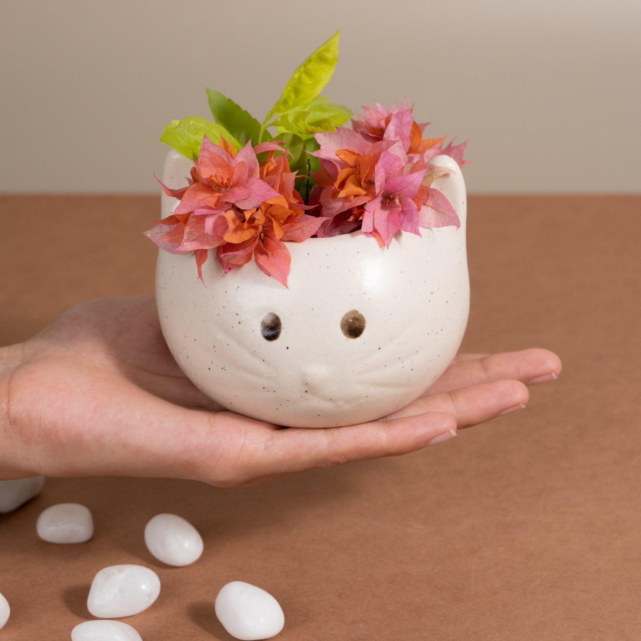 Hello Kitty Planter Secondary image