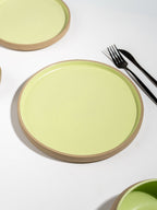 Light Green & Rust Ceramic Dinner Plate - The Golden Theory