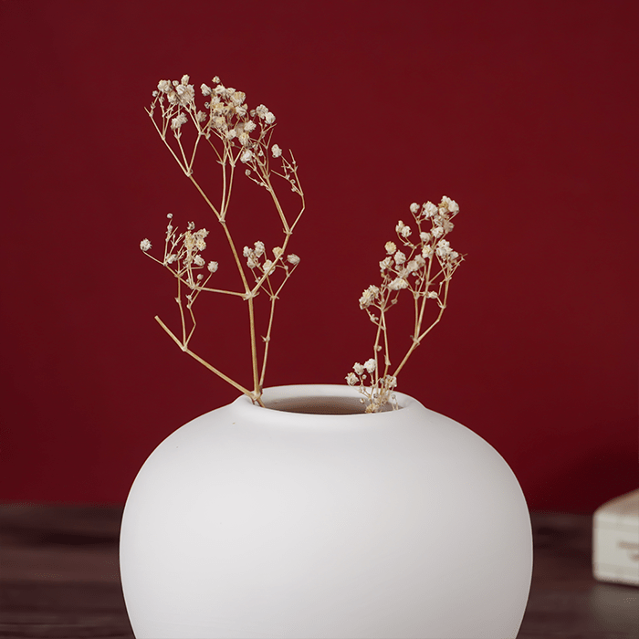 Matte White Ceramic Vase with Smooth Curved Design Secondary image