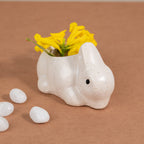 Mini Rabbit Ceramic Planter - The Golden Theory