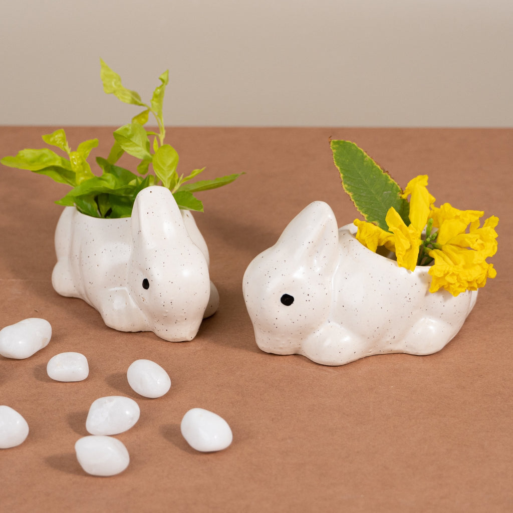 Mini Rabbit Ceramic Planter - The Golden Theory