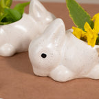 Mini Rabbit Ceramic Planter - The Golden Theory