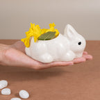 Mini Rabbit Ceramic Planter - The Golden Theory