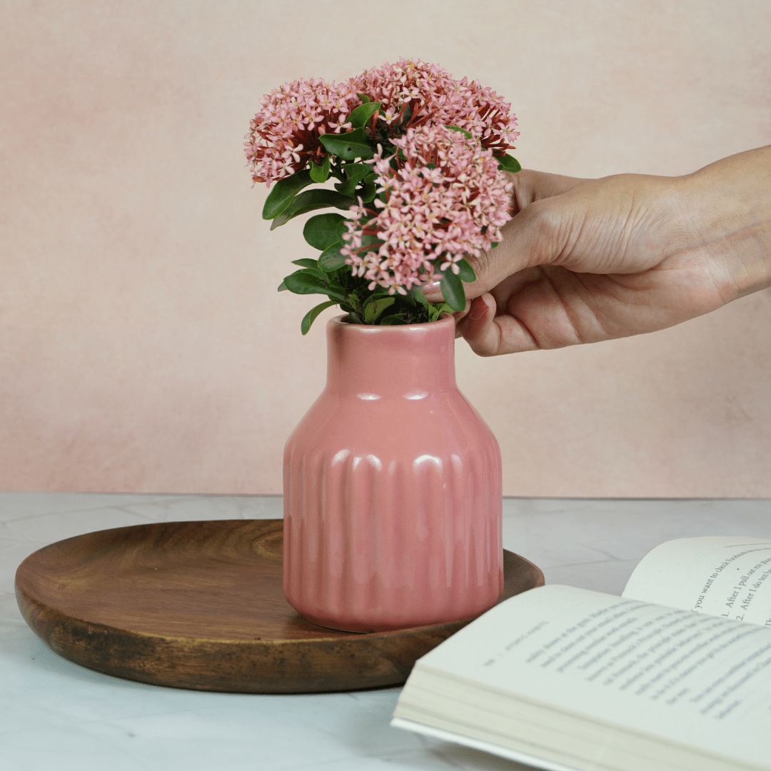 Pastel Pink Ceramic Decorative Vase - The Golden Theory Main image