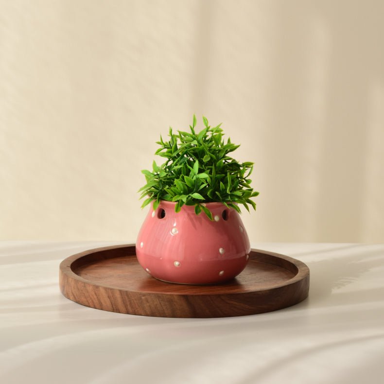 Pink Ceramic Matka Shaped Planter - The Golden Theory Main image