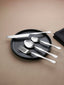 Premium Nickel-Plated Stainless Steel Cutlery Set of 4 - The Golden Theory