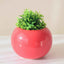Red Round-Shaped Ceramic Flower Vase