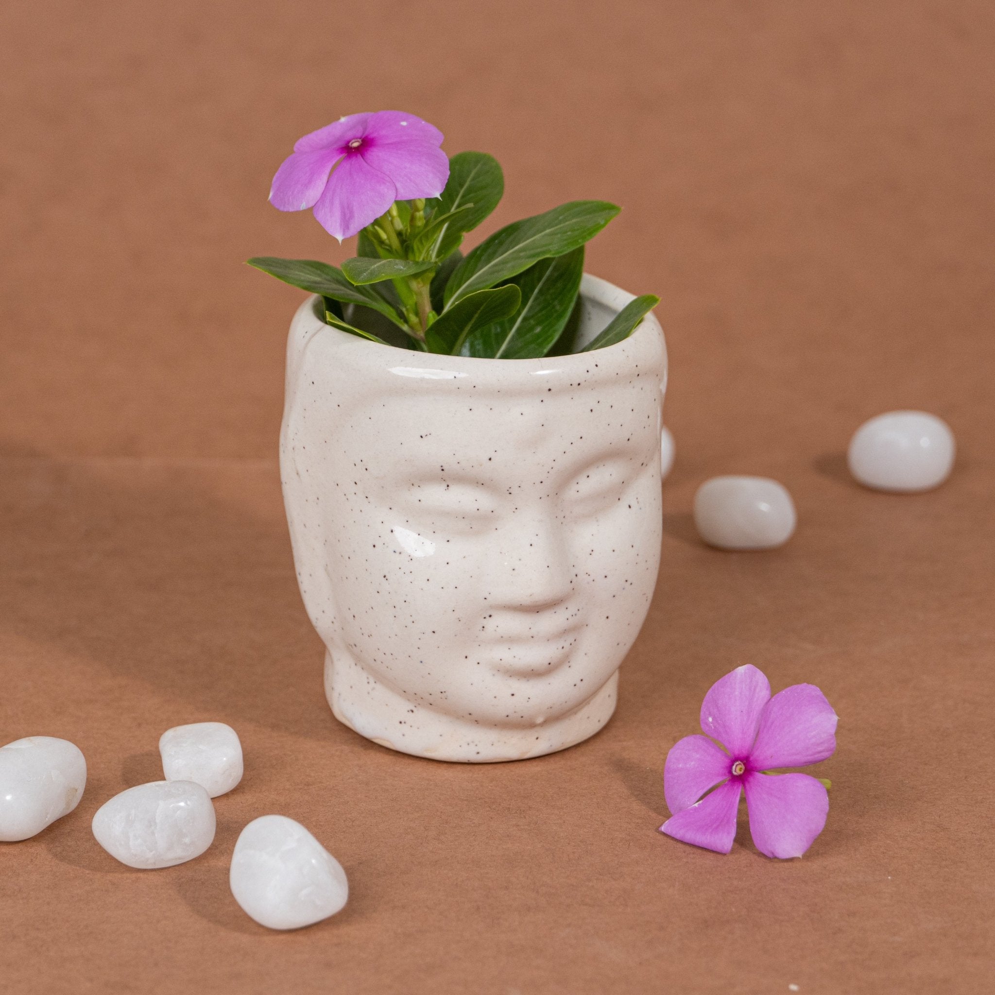 Serene Ceramic Buddha Table Planter - The Golden Theory
