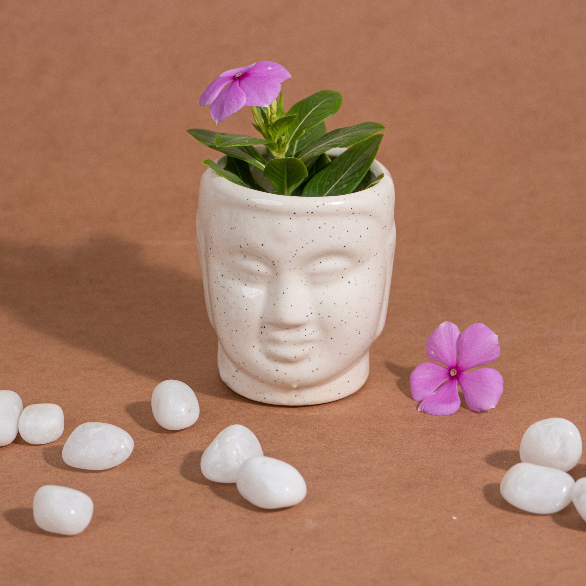 Serene Ceramic Buddha Table Planter - The Golden Theory Main image