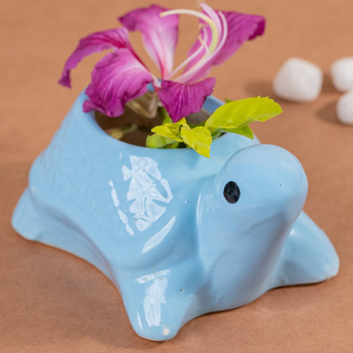 Sky Blue Ceramic Tortoise Succulent Planter - The Golden Theory