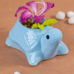 Sky Blue Ceramic Tortoise Succulent Planter - The Golden Theory