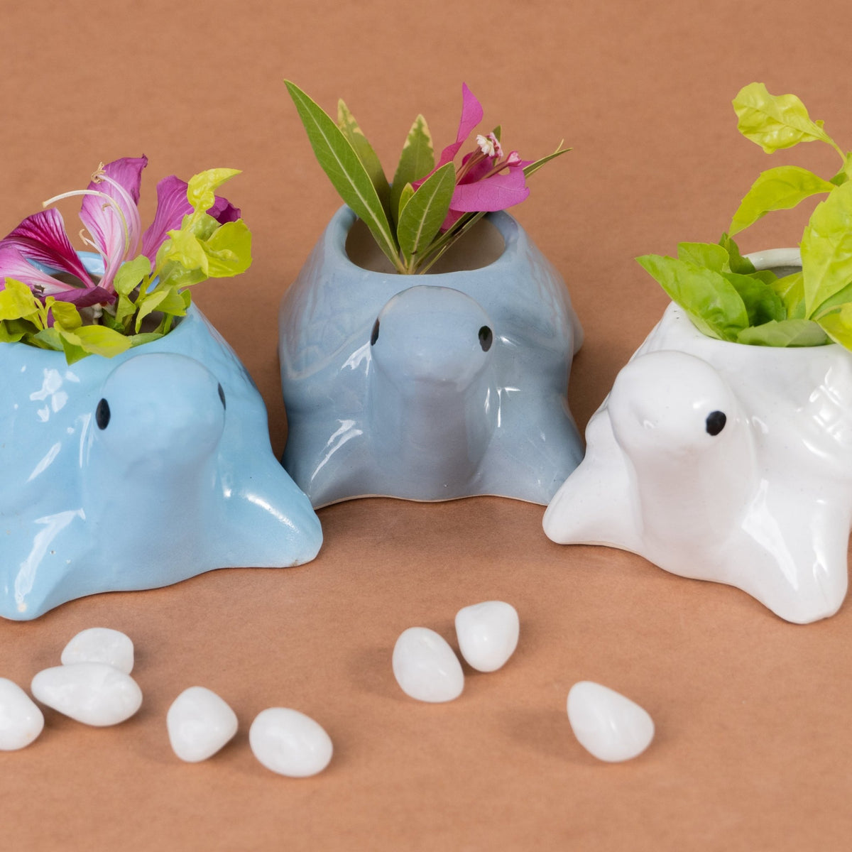Sky Blue Ceramic Tortoise Succulent Planter - The Golden Theory