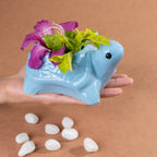 Sky Blue Ceramic Tortoise Succulent Planter - The Golden Theory