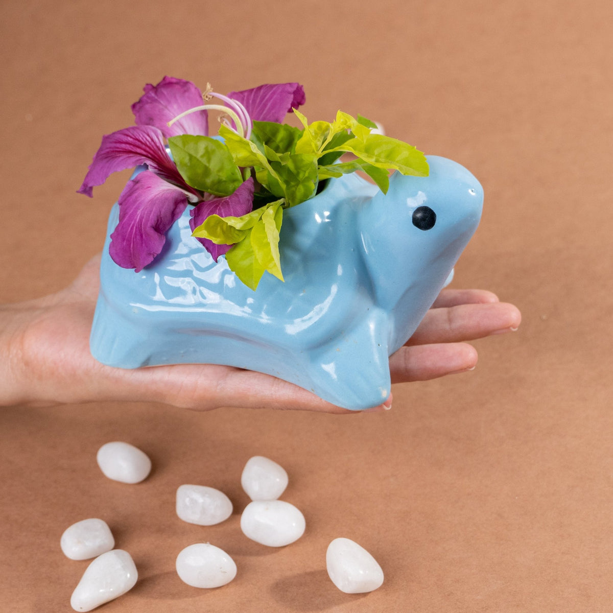 Sky Blue Ceramic Tortoise Succulent Planter - The Golden Theory