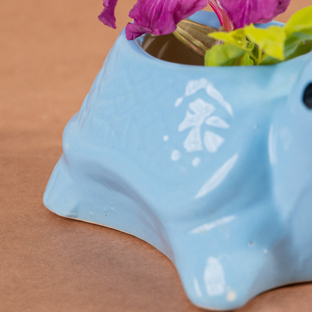 Sky Blue Ceramic Tortoise Succulent Planter - The Golden Theory