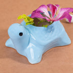 Sky Blue Ceramic Tortoise Succulent Planter - The Golden Theory