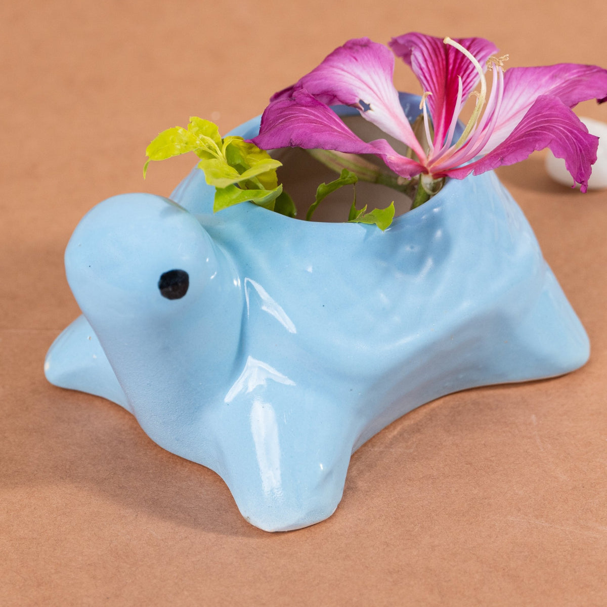 Sky Blue Ceramic Tortoise Succulent Planter - The Golden Theory