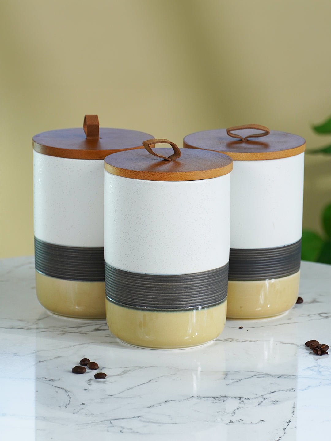 Three-Tone Ceramic Canister Set with Wooden Lids - Set of 3 - The Golden Theory