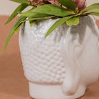 White Ceramic Buddha Planter - The Golden Theory