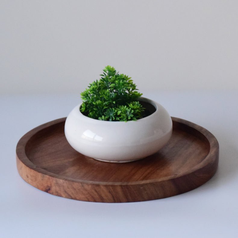 White Ceramic Microgreen Planter - The Golden Theory Main image