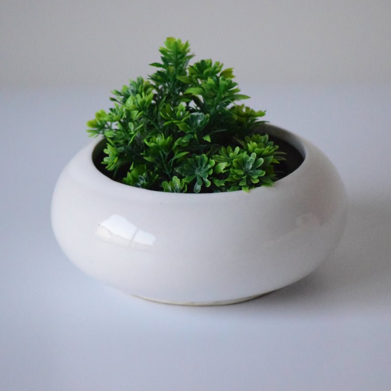 White Ceramic Microgreen Planter Secondary image