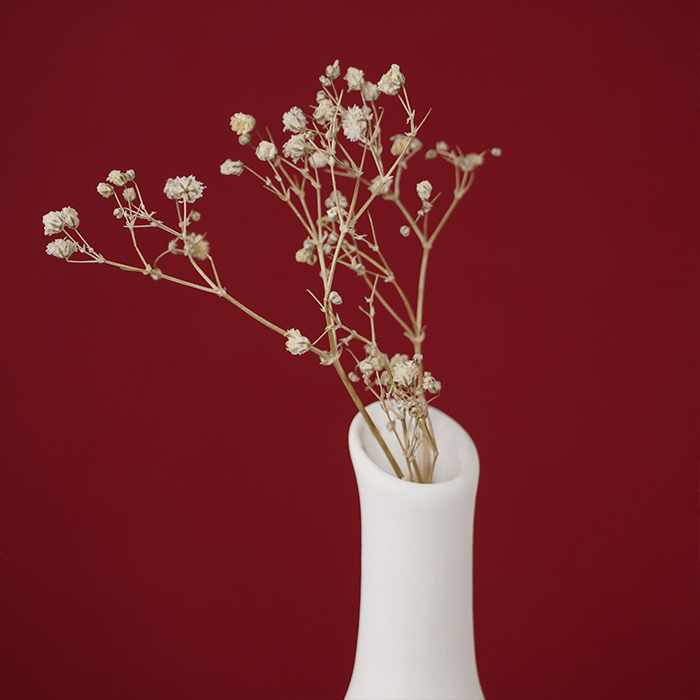 White Ceramic Vase with Narrow Neck - The Golden Theory