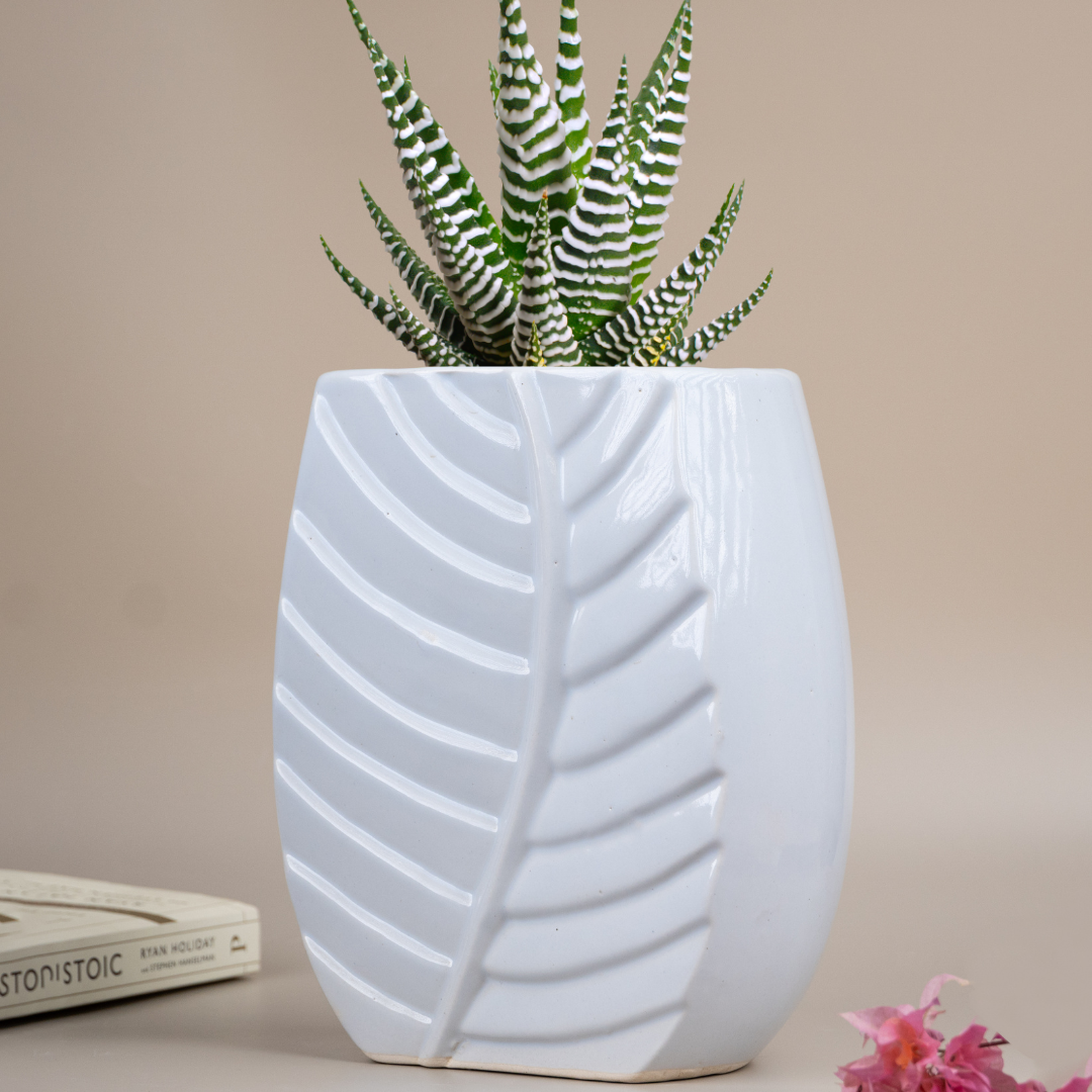 White Color Leaf Shaped Flower Vase Main image