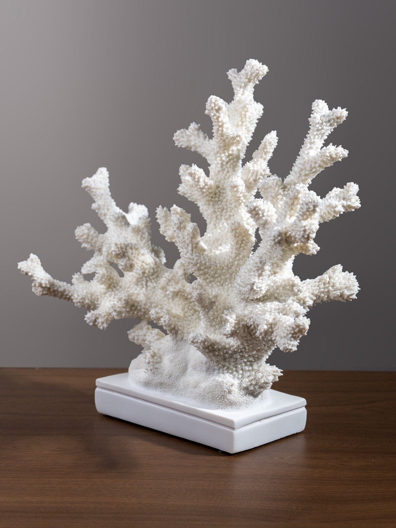White Coral Branch Sculpture on Base Secondary image