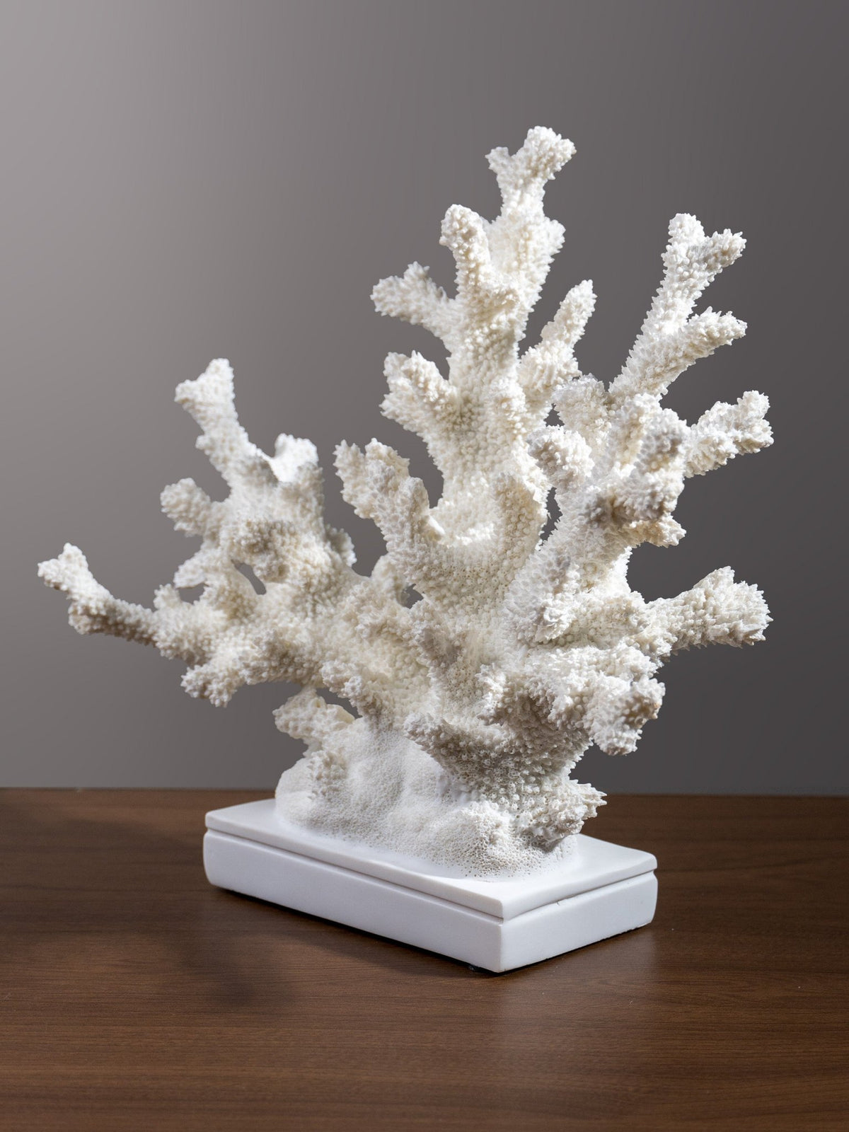 White Coral Branch Sculpture on Base - The Golden Theory