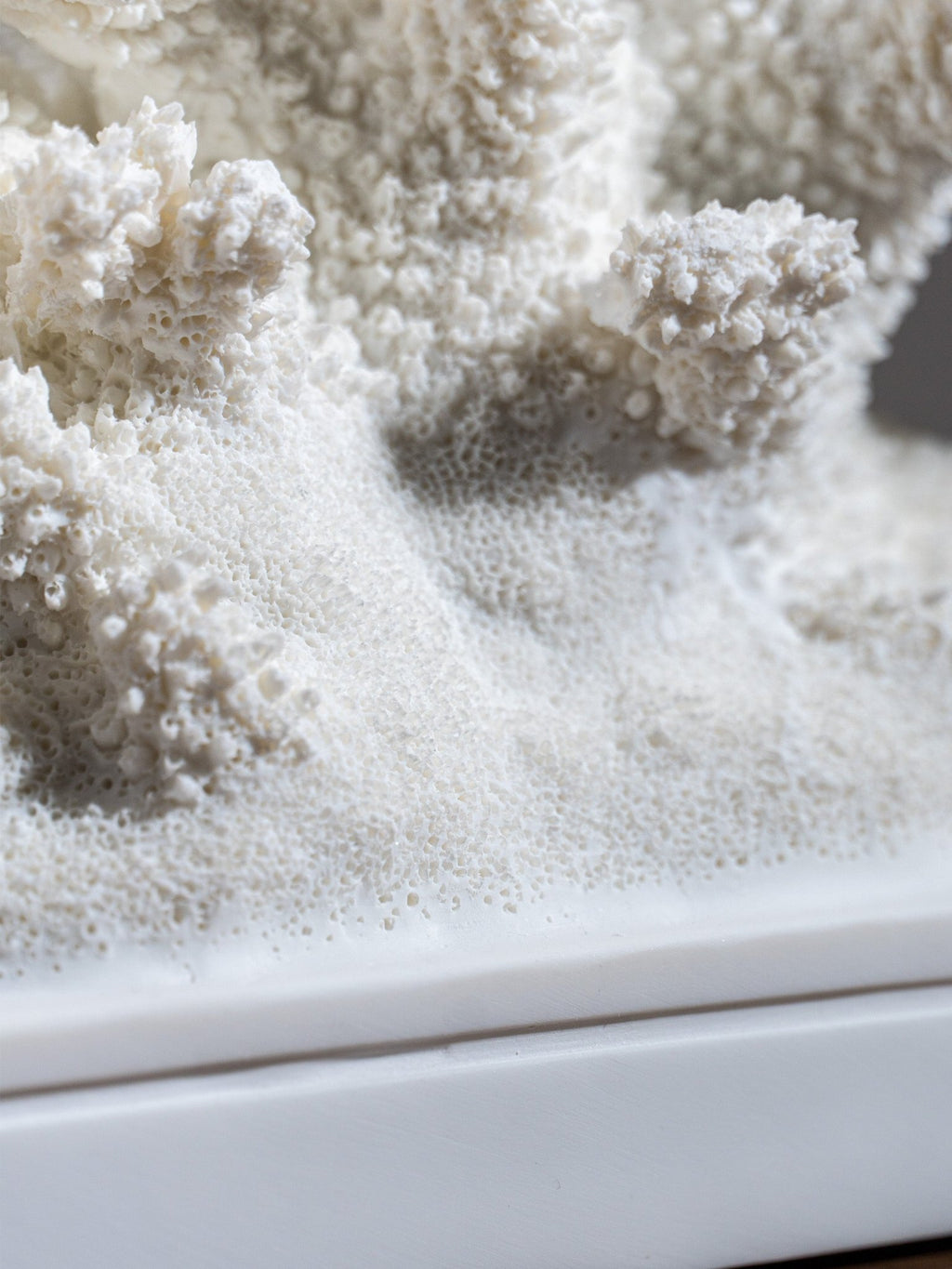 White Coral Branch Sculpture on Base - The Golden Theory