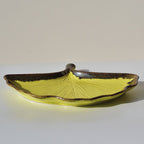 Yellow Ceramic Shell Shaped Platter with Brown Borders - The Golden Theory